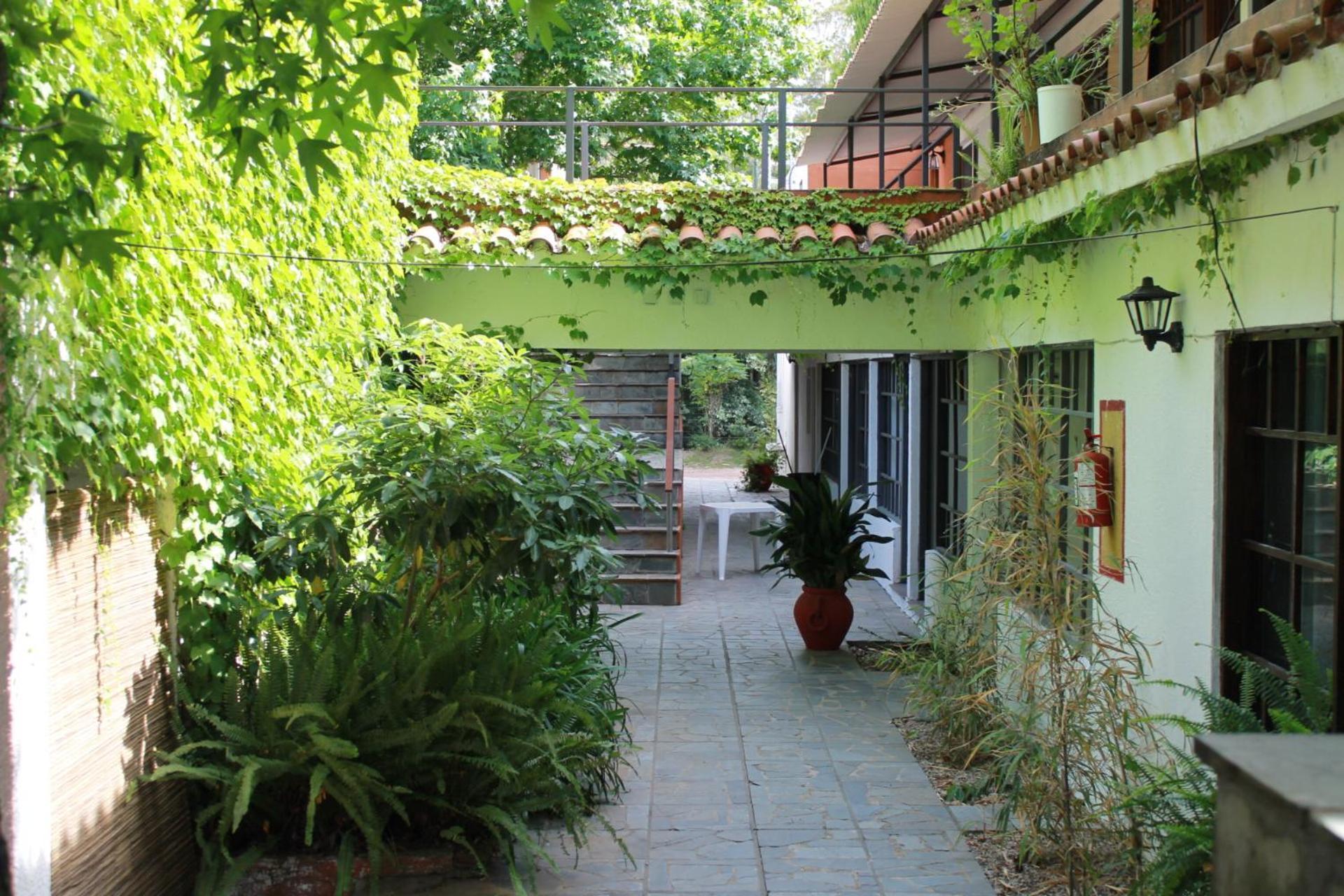 פונטה באיינה Hotel La Ballena מראה חיצוני תמונה